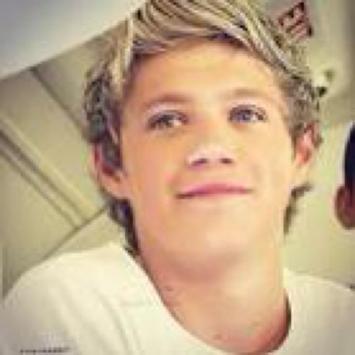 Sorry, Niall ate my bio