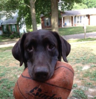 Internal auditor, corporate athlete, anywhere, anytime! Mom to Ricky Bobby & Bella Rosa & Kathryn Louise!