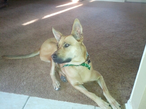 beerasaurusTEX's profile picture. 