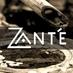 Zante Salon and Spa (@zantesalonbend) Twitter profile photo