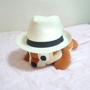 がせ (@010307_i) Twitter