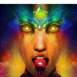 ProgessiveMM's profile picture. We Love House Music !