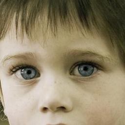 A Project to Stop the Abuse of Children in Blended Families