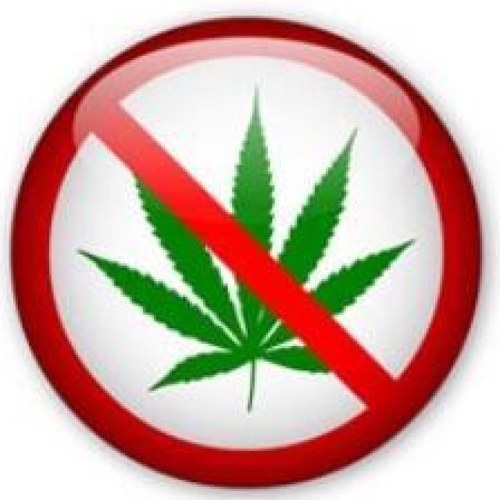 This is a drug free environment. The sober life is the way to go. Support the mission to ban 4/20