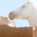 Lord of all horses. Gandalf's horse. @TheRealLukevans hugged me. #LOTR. #FAVioladoresArmy | Dead because BOTFA ruined my life |