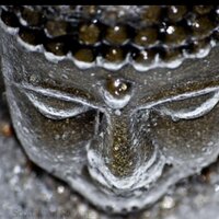MijnMedium.nl (@spiriguide) 's Twitter Profile