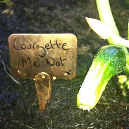 Official twitter feed for Prince Courge. Potted at Channel 4 on 25th July. Hoping my following grows organically like me.