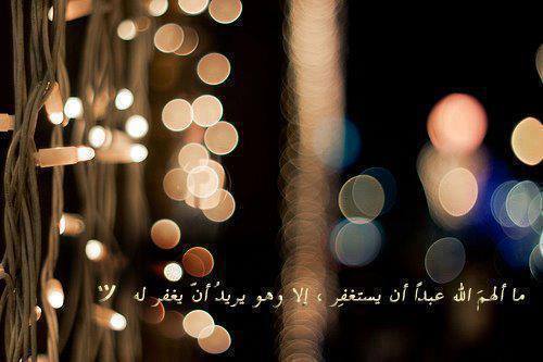 HoudaSouna's profile picture. 