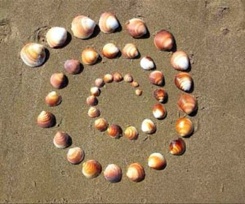 Collection of international Shell Twitter accounts.