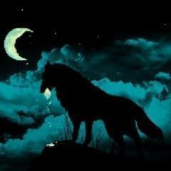 KidCashus's profile picture. 