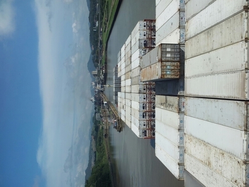 aleman_gaap27's profile picture. 