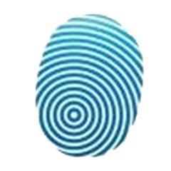 Styluses, Premium Styluses, Phone Cases, iPad Cases, Tablet Cases,   USB drives & cables, Smart Connectors, Smart Cables, IOS, Android, Touch Screen Products