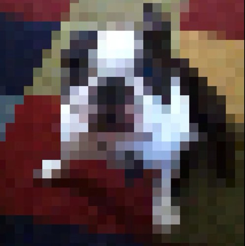 Rufusthepuppy's profile picture. 