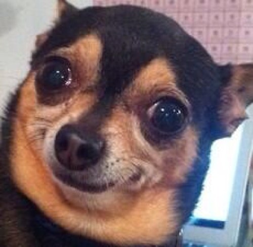 Hello i just gave one peep a free follow, all my other accounts are doing the same. SPREAD THE LOVE