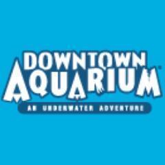 Aquarium Houston