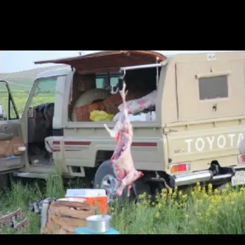 shas2210's profile picture. 