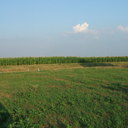 DANIEL BOOM  - @DANIELIOVITA - Twitter