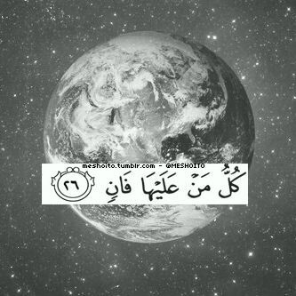 mohebatislam6's profile picture. 