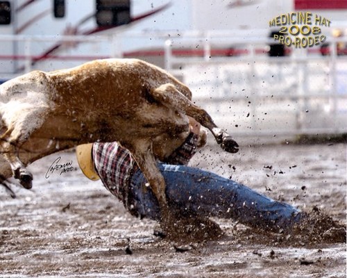 Dad, Former Professional Steer Wrestler