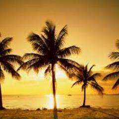 All are lunatics, but he who can analyze his delusion is called a philosopher.-Ambrose Bierce