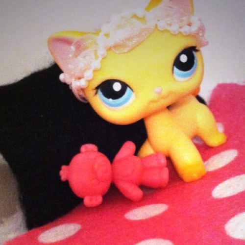 NicoleLeahWest's profile picture. Hey im Nicole,but you can call me Nikki. Im a model in NY currently!:) Status: Single