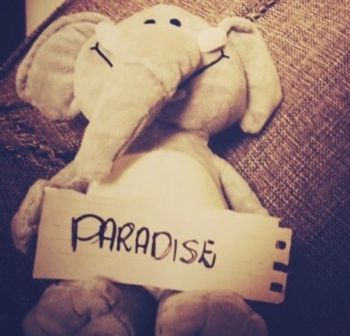 No Olvides Seguir a Mis Cuentas Favoritas **@DesmoWTF • @karla_perez15** c:
