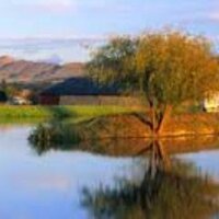 Muddy Water Wines (@muddywaterwines) 's Twitter Profile