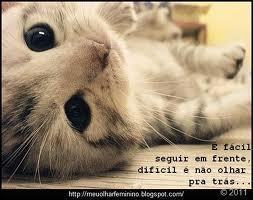 Quando você acha que sabe todas as respostas, vem a vida e muda todas as perguntas…