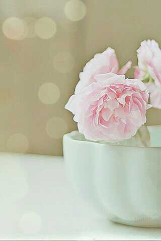 ‏♥ لا إله الا الله ♥