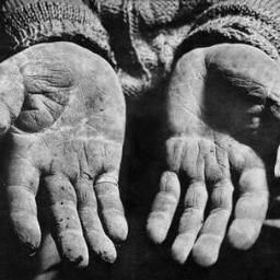 PaivaThales's profile picture. computers... it's what i do!