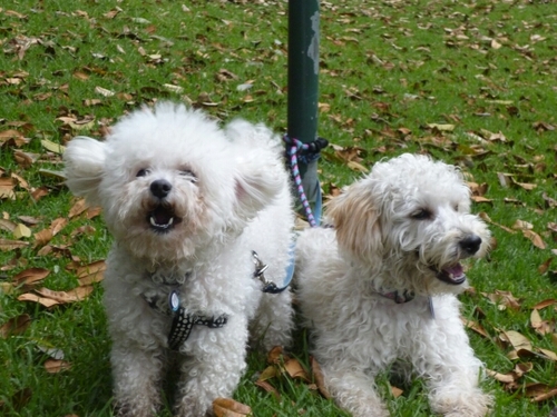 JuanCarlosAtara's profile picture. 