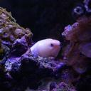 Lorrie Smith - @IPisces62 - Twitter