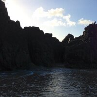 Shantel (@shantelcookie) 's Twitter Profile