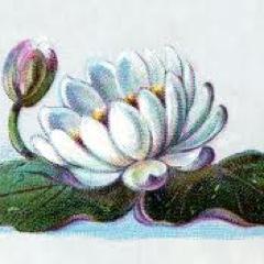 Beg4ydez's profile picture. A consensus means that everyone agrees to say collectively what no one believes individually.- Abba Eban