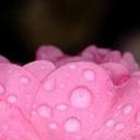 Luisa Haney - @LuisaHan3y - Twitter