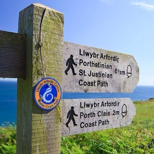 WalksInWales's profile picture. Walks in Wales is on its way! A new website and mobile app which will allow you to search, walk, share, discuss and do much more.. Follow for the latest