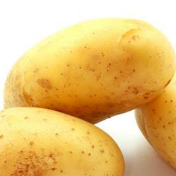 I may not be a perfect potato but I'm still delicious and you can't resist it.
#StopPotatoEnslavement2015 by meeting me at #dashcon2015
