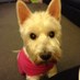 Melanie Brandon (@146_mel) Twitter profile photo