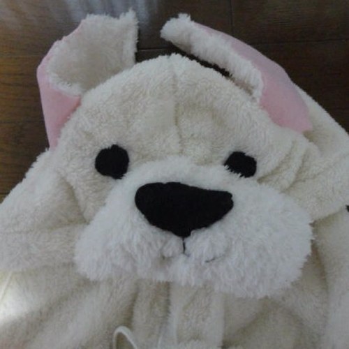 のあさんのプロフィール画像