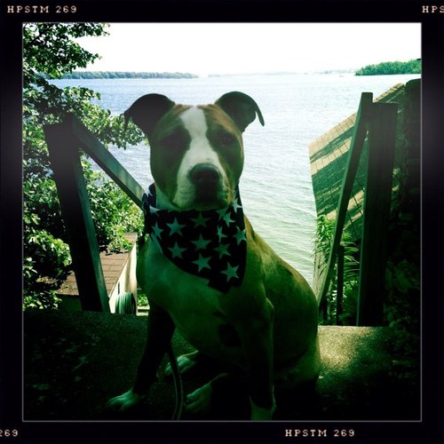 Goose__Boots's profile picture. 