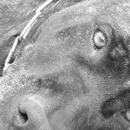 bragadonvio's profile picture. 