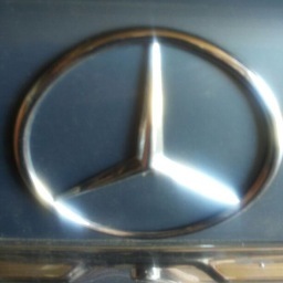 sytzekok's profile picture. 