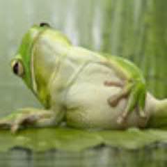 pammoneru's profile picture. #Хороший_юмор #Смеяться_разрешается #Зона_смеха