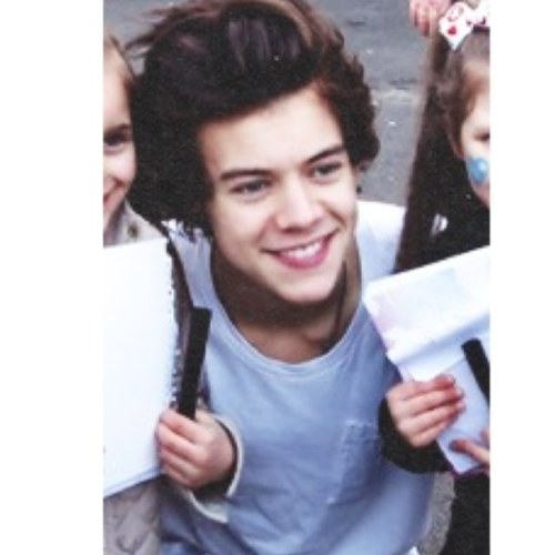 harry styles