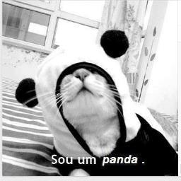 keren saber o que eu penso????...
bem, nem eu sei direito,,,;)
minha vida e assim mesmo!