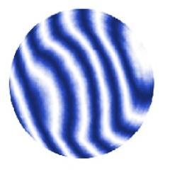Sales Manager - Armstrong Optical.