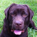 Colby Mahan - @ColbyDaneMahan - Twitter