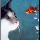 Aida Jackson - @AidaJackson13 - Twitter