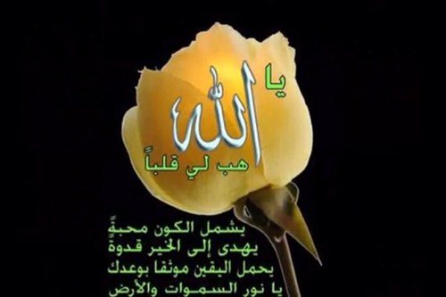 سبحان الله وبحمده سبحان الله العظيم 🌹♥️