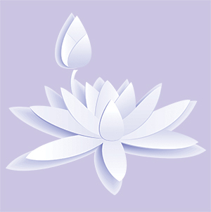 Holistic SA is a national online holistic directory providing information regarding all aspects of Holistic health and therapy.